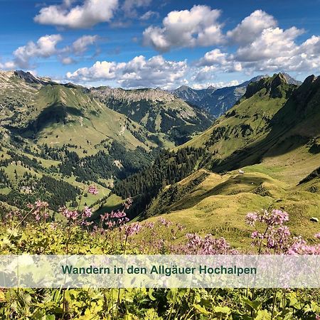 Chalet - Ferienwohnungen - Biohof Stoeger - Panoramasuedbalkon - Grandiose Aussicht Auf See, Berge Und Schloss Neuschwanstein Rieden Kültér fotó