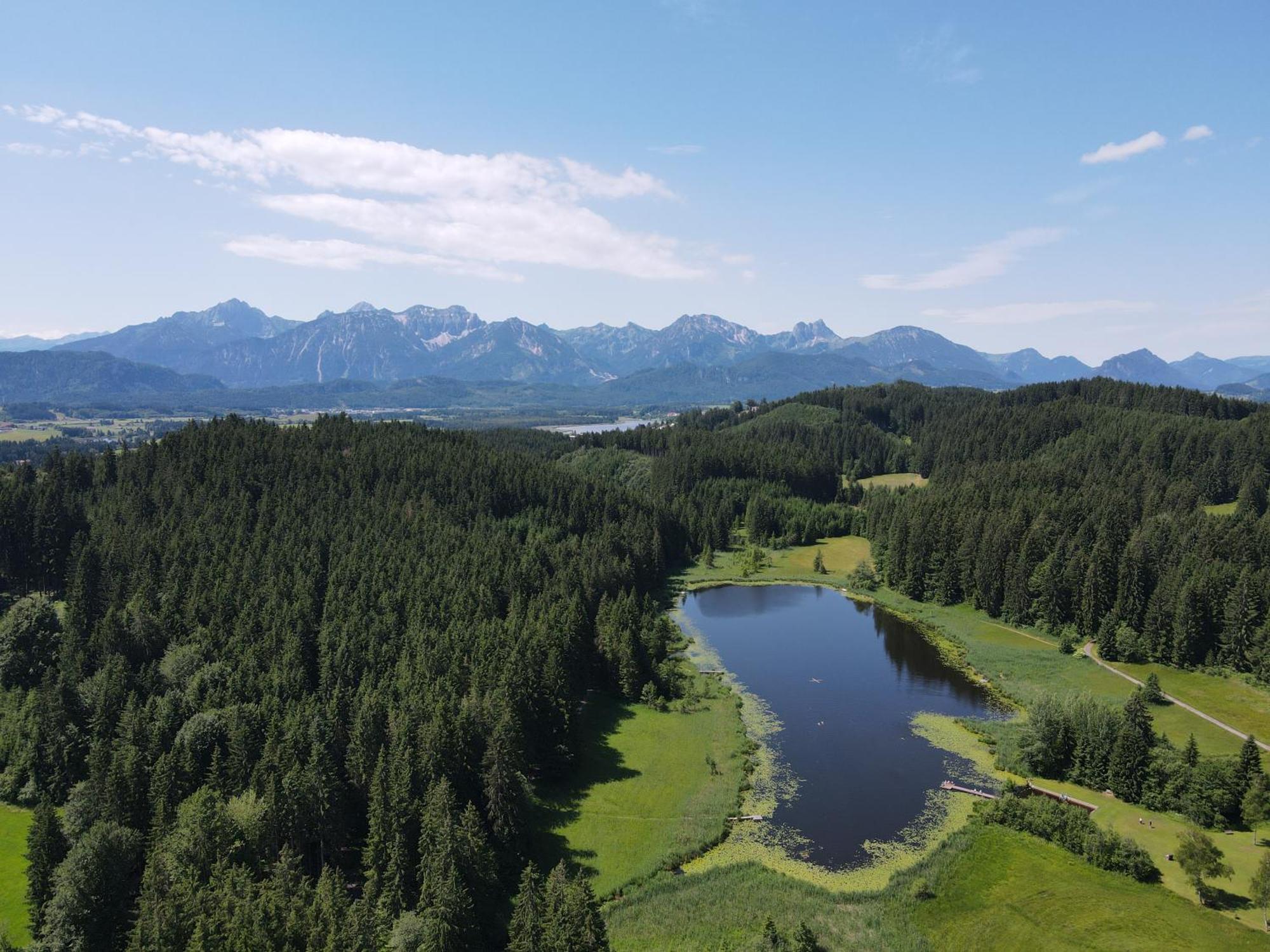 Chalet - Ferienwohnungen - Biohof Stoeger - Panoramasuedbalkon - Grandiose Aussicht Auf See, Berge Und Schloss Neuschwanstein Rieden Kültér fotó