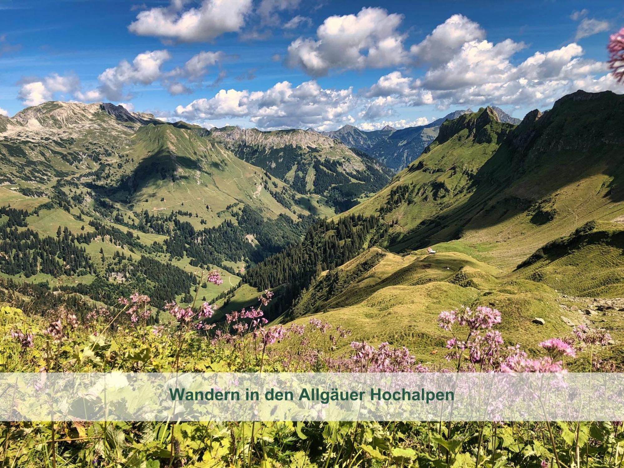 Chalet - Ferienwohnungen - Biohof Stoeger - Panoramasuedbalkon - Grandiose Aussicht Auf See, Berge Und Schloss Neuschwanstein Rieden Kültér fotó