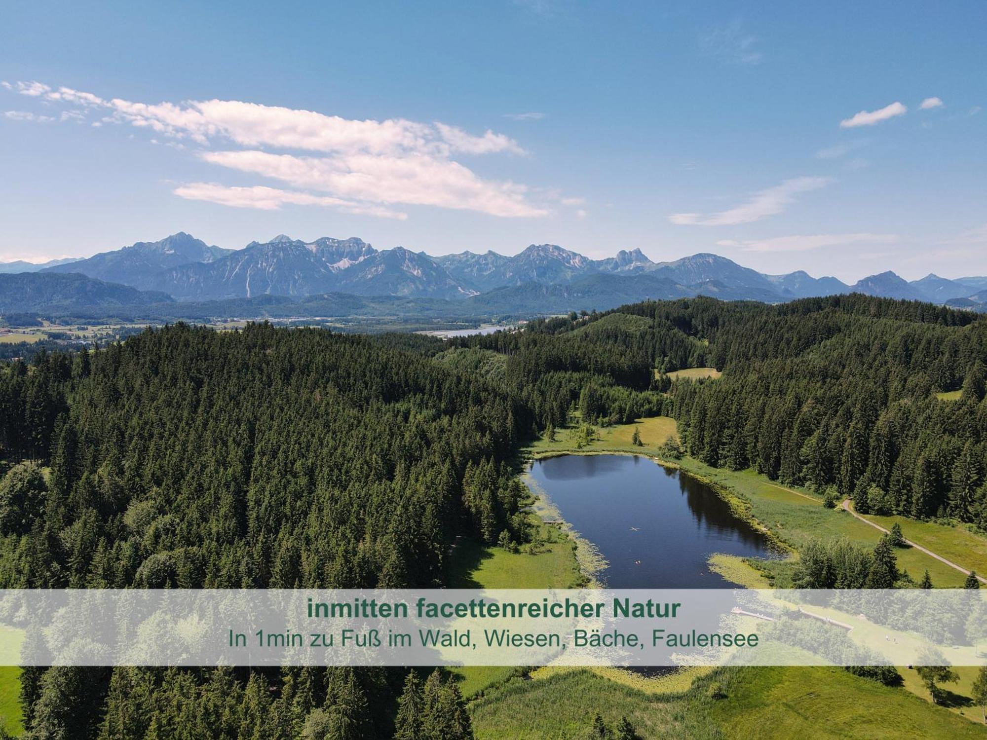 Chalet - Ferienwohnungen - Biohof Stoeger - Panoramasuedbalkon - Grandiose Aussicht Auf See, Berge Und Schloss Neuschwanstein Rieden Kültér fotó