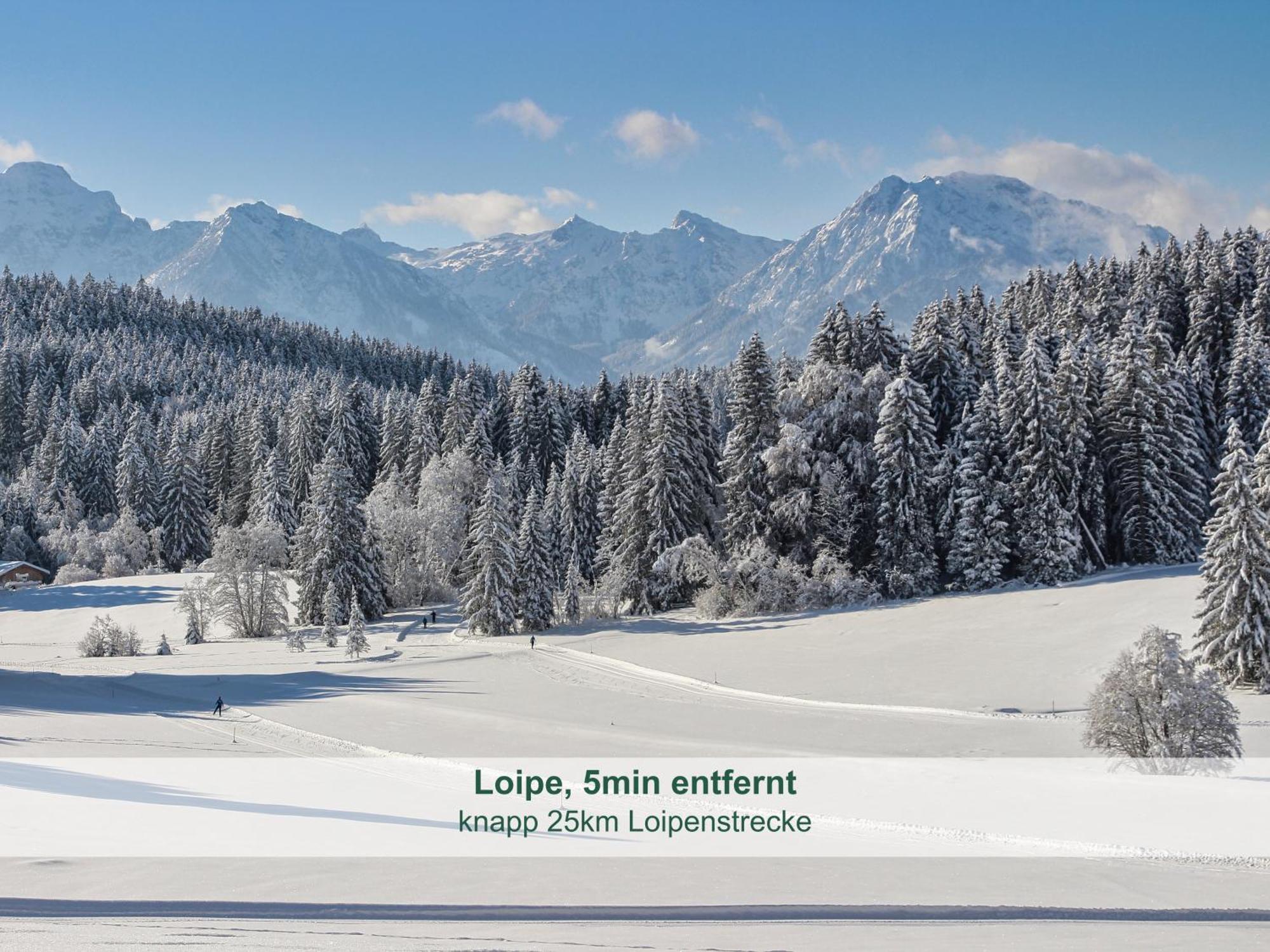 Chalet - Ferienwohnungen - Biohof Stoeger - Panoramasuedbalkon - Grandiose Aussicht Auf See, Berge Und Schloss Neuschwanstein Rieden Kültér fotó