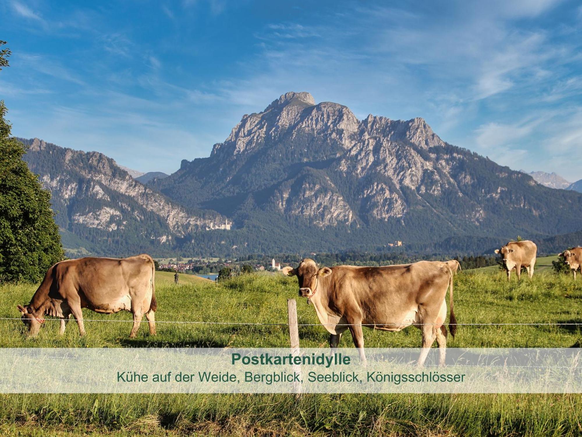 Chalet - Ferienwohnungen - Biohof Stoeger - Panoramasuedbalkon - Grandiose Aussicht Auf See, Berge Und Schloss Neuschwanstein Rieden Kültér fotó