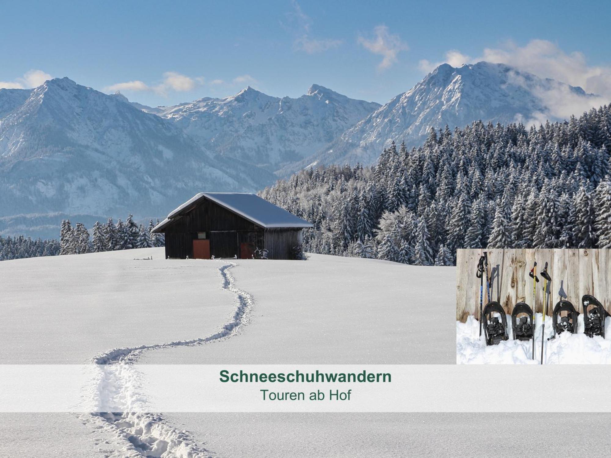 Chalet - Ferienwohnungen - Biohof Stoeger - Panoramasuedbalkon - Grandiose Aussicht Auf See, Berge Und Schloss Neuschwanstein Rieden Kültér fotó