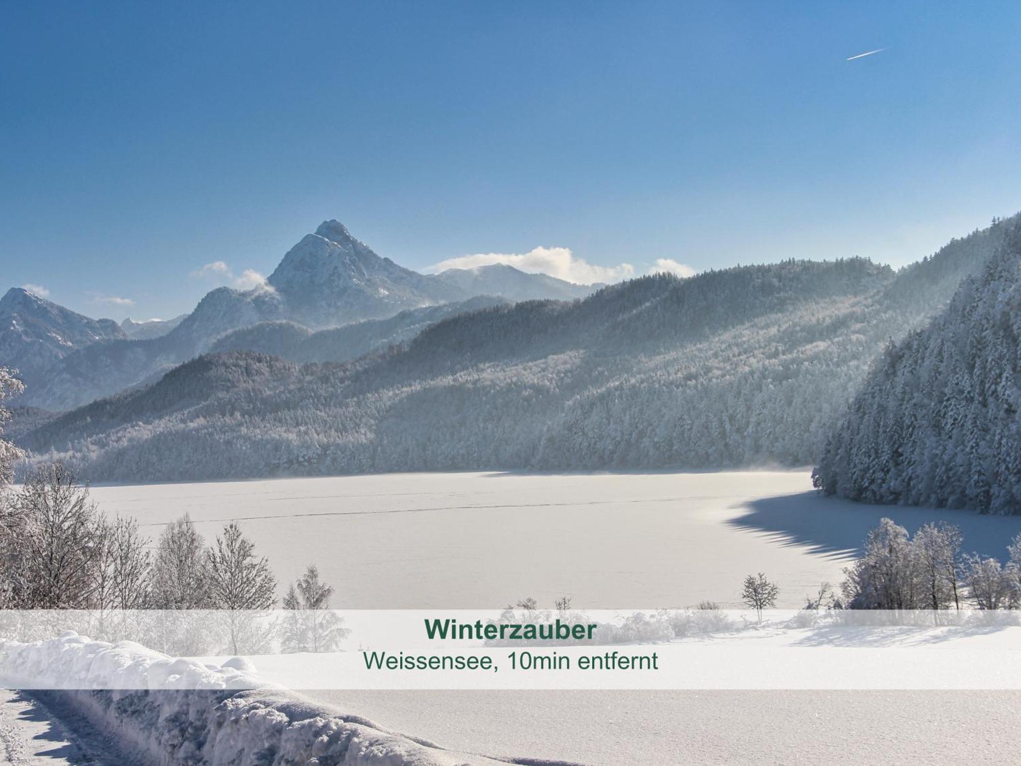 Chalet - Ferienwohnungen - Biohof Stoeger - Panoramasuedbalkon - Grandiose Aussicht Auf See, Berge Und Schloss Neuschwanstein Rieden Kültér fotó