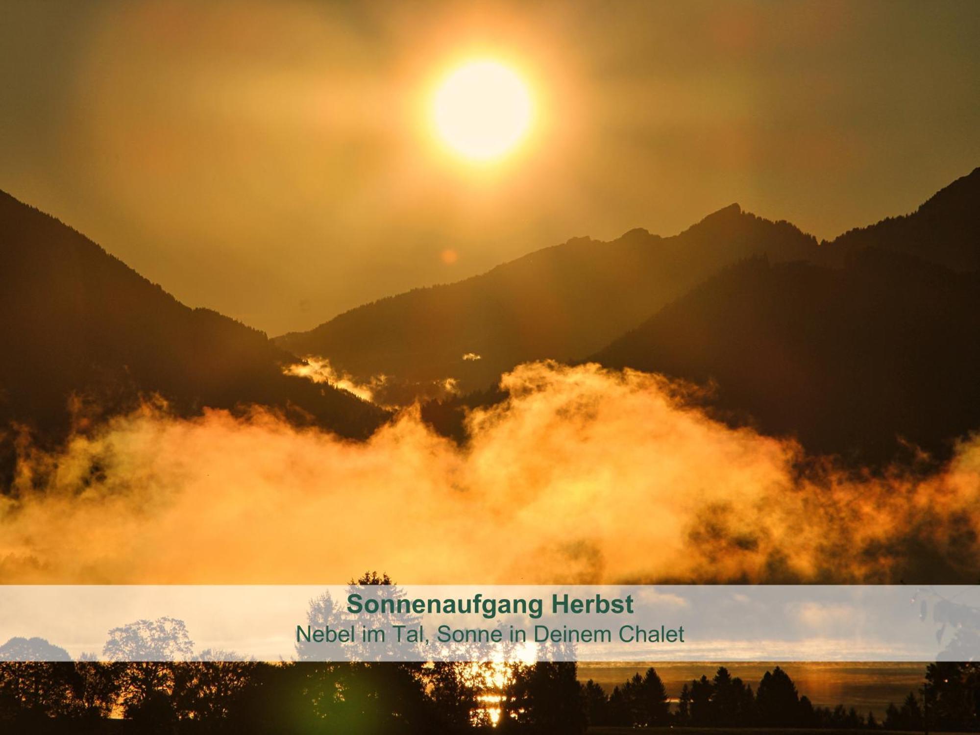 Chalet - Ferienwohnungen - Biohof Stoeger - Panoramasuedbalkon - Grandiose Aussicht Auf See, Berge Und Schloss Neuschwanstein Rieden Kültér fotó