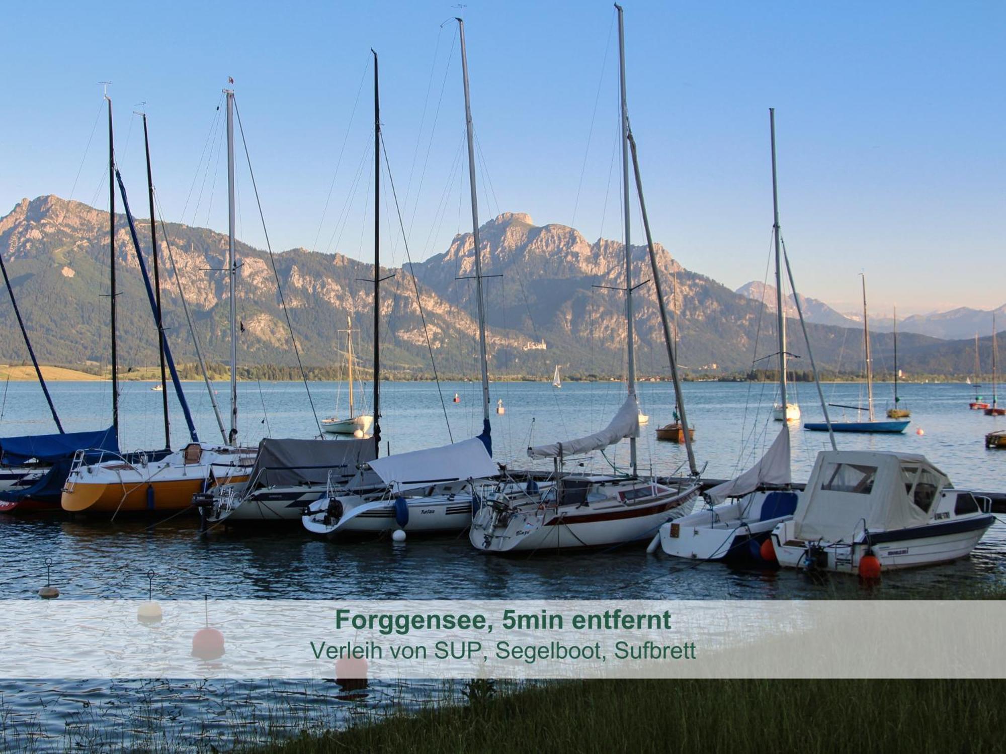 Chalet - Ferienwohnungen - Biohof Stoeger - Panoramasuedbalkon - Grandiose Aussicht Auf See, Berge Und Schloss Neuschwanstein Rieden Kültér fotó